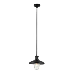 Allenbury 1 Light Outdoor Pendant - Textured Black IP44 E27