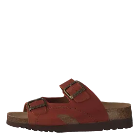 Moldava Rust