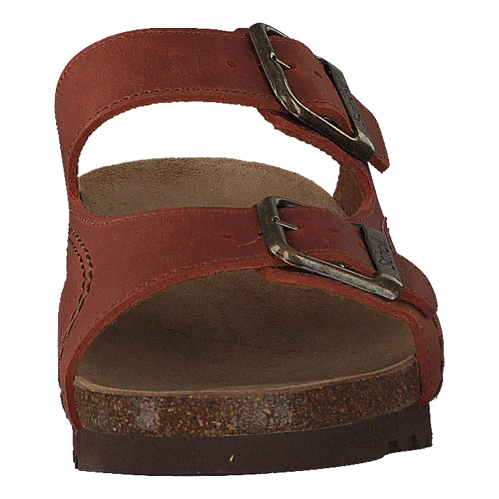 Moldava Rust