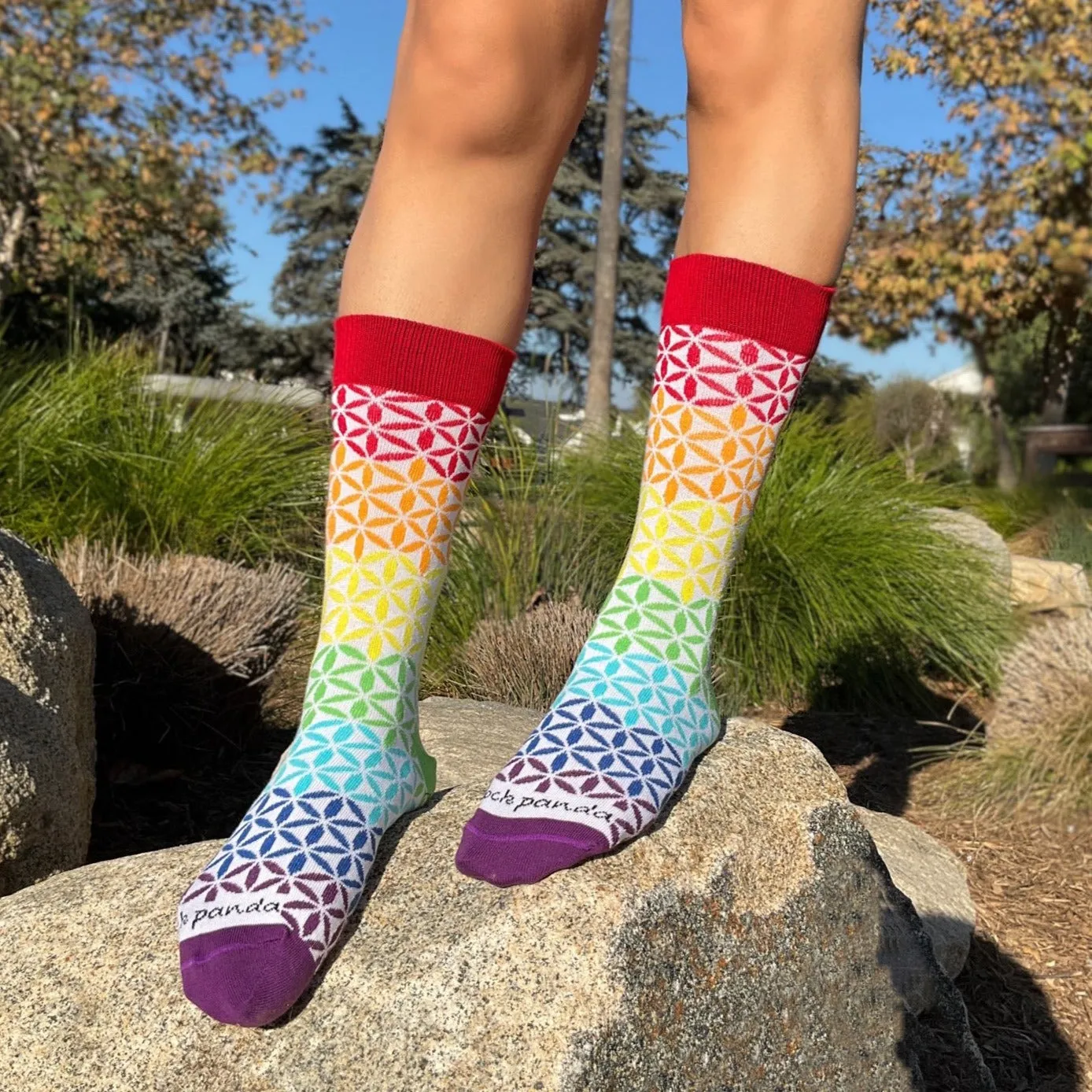 Rainbow Flower Pattern Socks from the Sock Panda (Adult Medium - Women's Shoe Sizes 5-10)