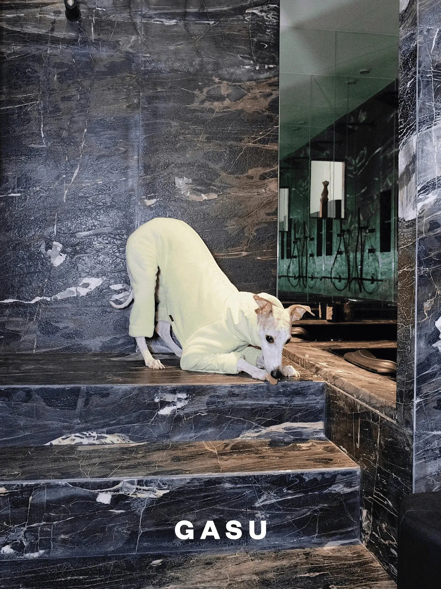 Ultra-Thick Antistatic Fleece Dog Jumpsuit