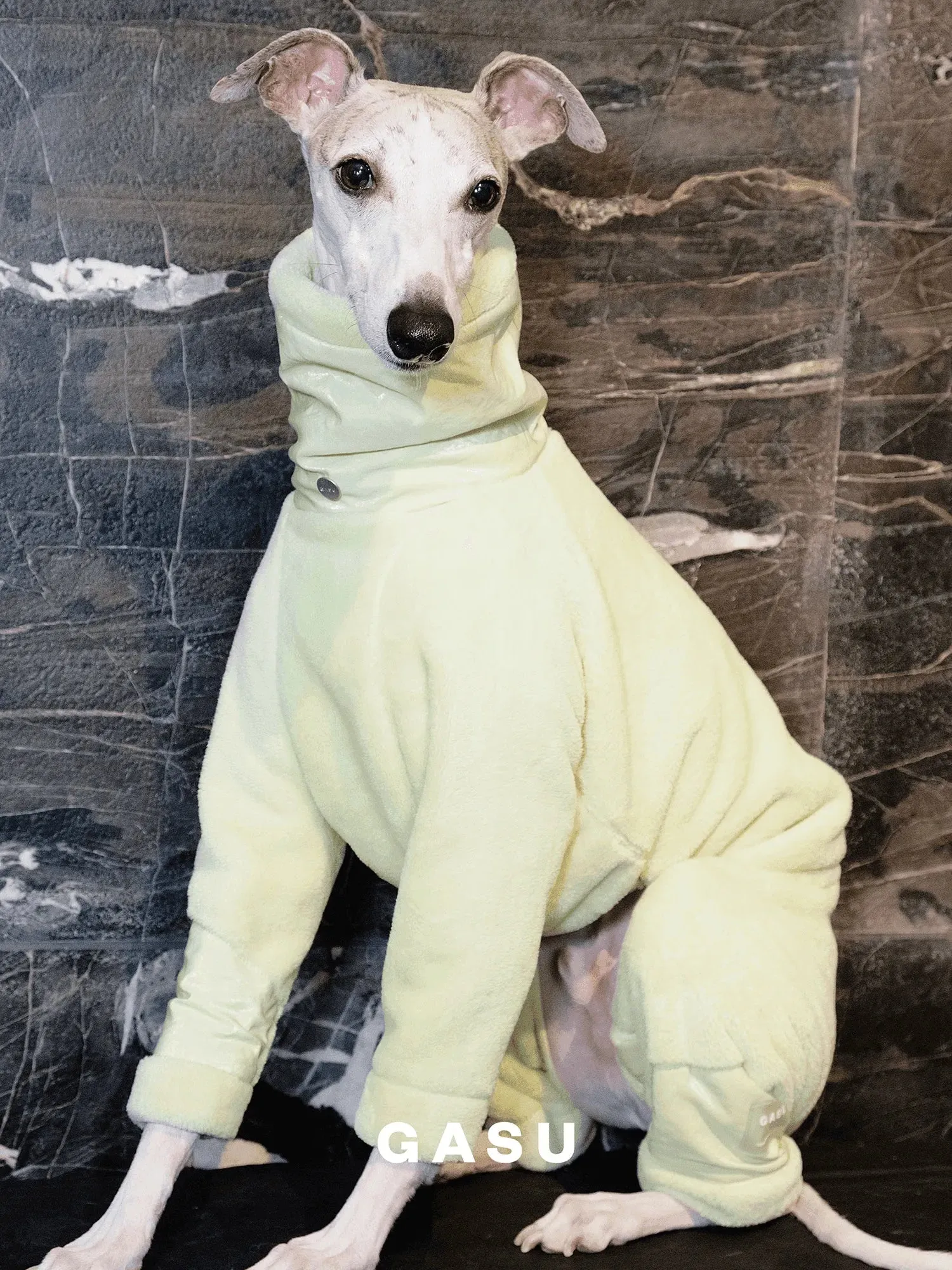Ultra-Thick Antistatic Fleece Dog Jumpsuit