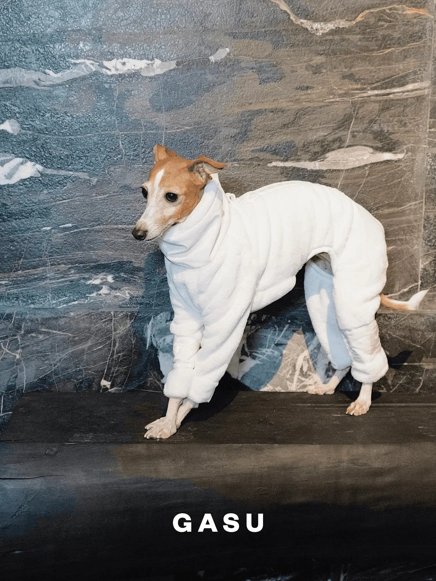 Ultra-Thick Antistatic Fleece Dog Jumpsuit
